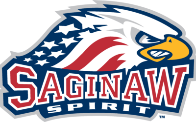 Saginaw Spirit vs. Niagara IceDogs